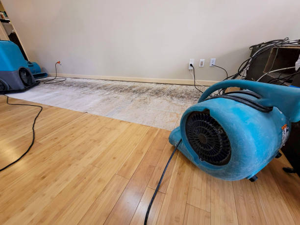 Professional Flood Damage Cleanup technician working in Milton, NY